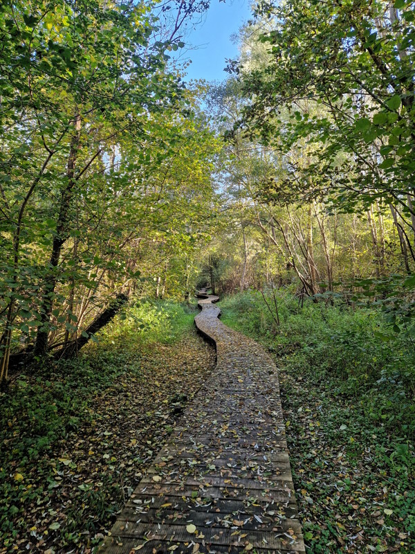 Herfstig-Hageland-foto-2