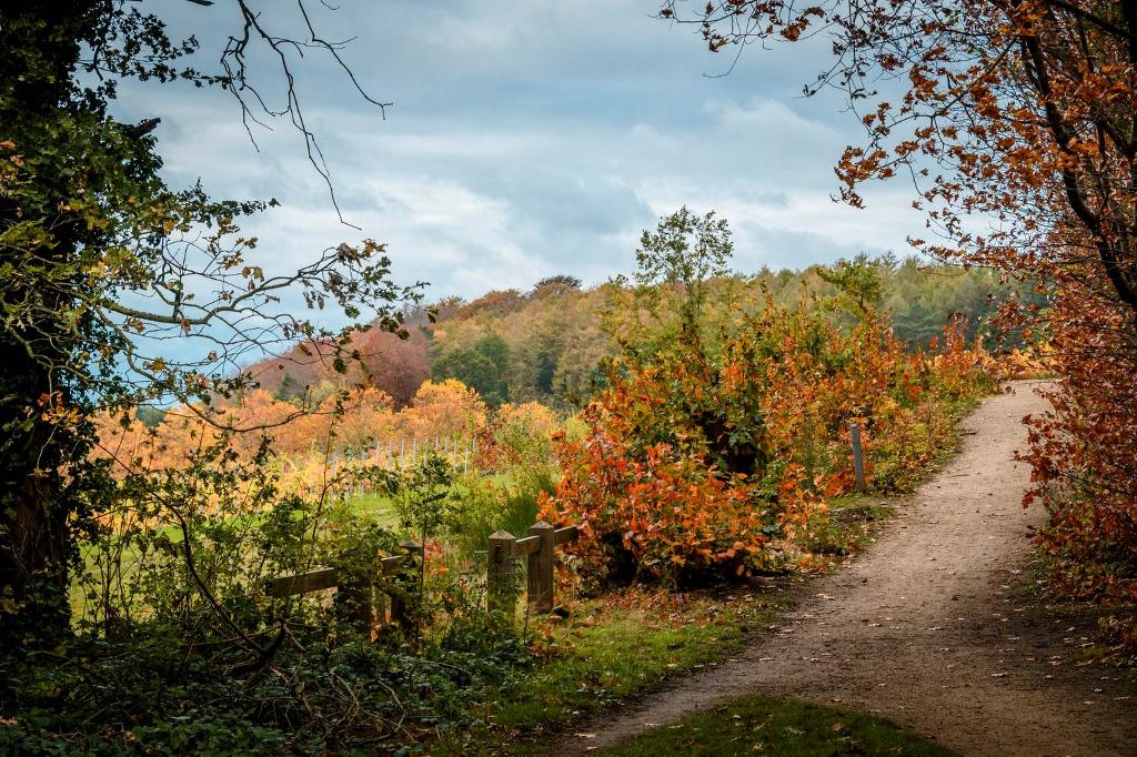 Herfstig Hageland