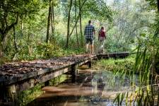 Twee wandelaars op knuppelpad natuurgebied De Gevel