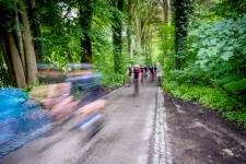 Sportieve fietsers in het bos