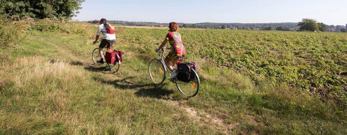 Fietsers  in Sterrebeek