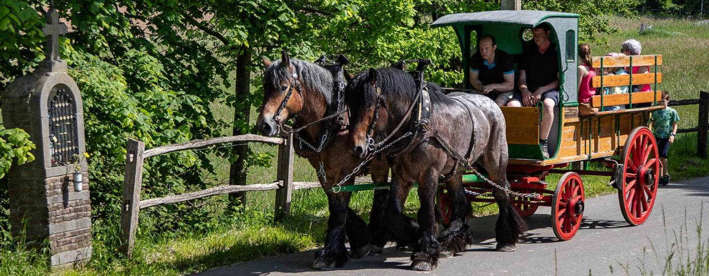 Koets met twee trekpaarden