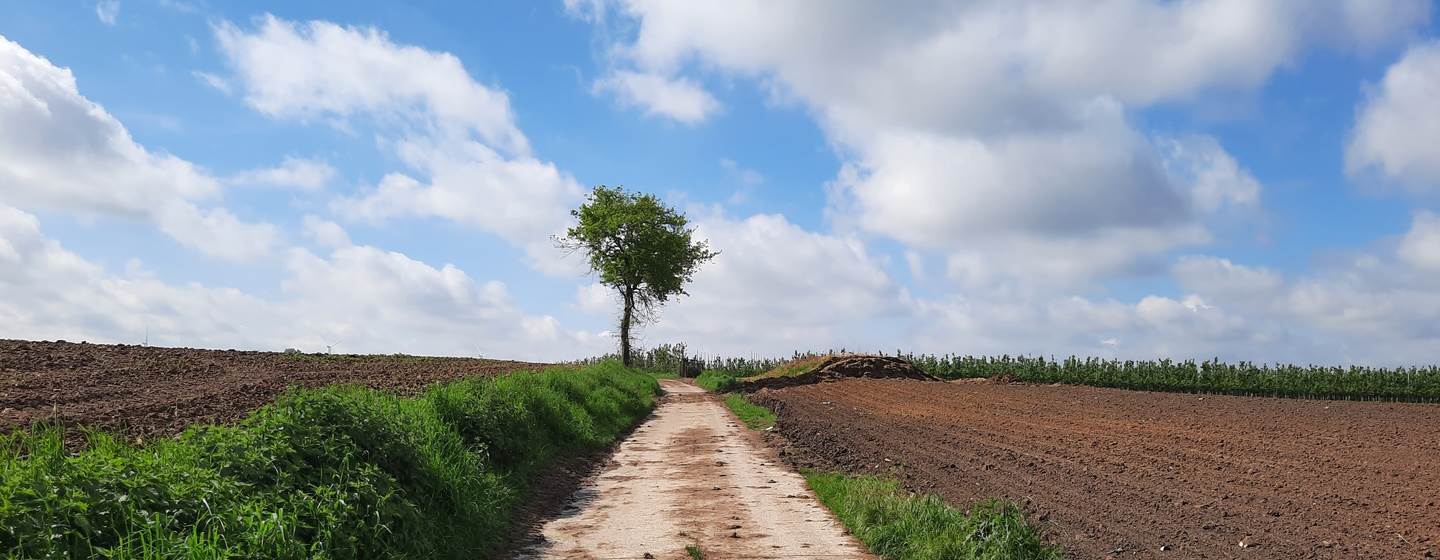 uitgestrekt natuurlandschap