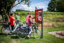 Fietsers bij infobord wijngaard Den Eeckhout