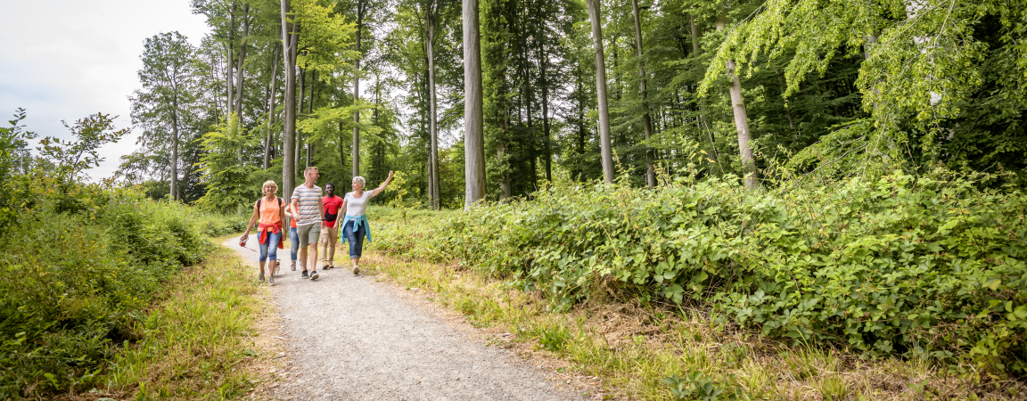 Wandelaars in het Zoniënwoud