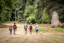 Wandelaars in het Arboretum van Groenendaal